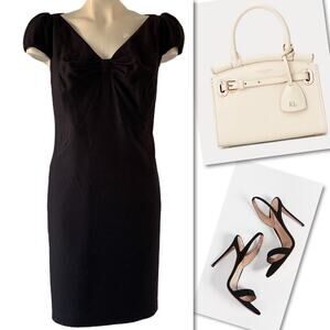 STEFFEN SCHRAUT WOOL BLEND STRAIGHT SHEATH DRESS SZ 42 / 12